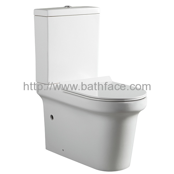 Dual Flush Two Piece Wash Down Ceramic Toilet