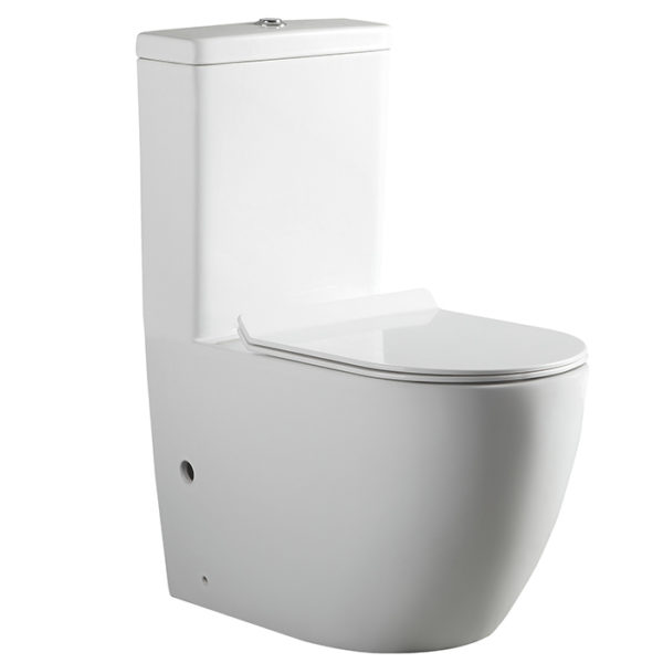 Vitreous China Dual Flush One Piece Wash Down Toilet