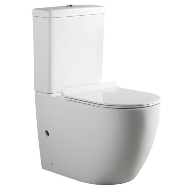 Vitreous China Dual Flush Two Piece Wash Down Toilet