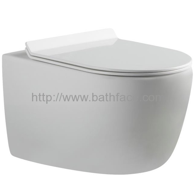 Vitreous China Wall Hung Dual Flush Wash Down Toilet