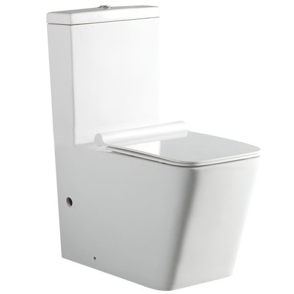 Ceramic Dual Flush One Piece Washdown Toilet