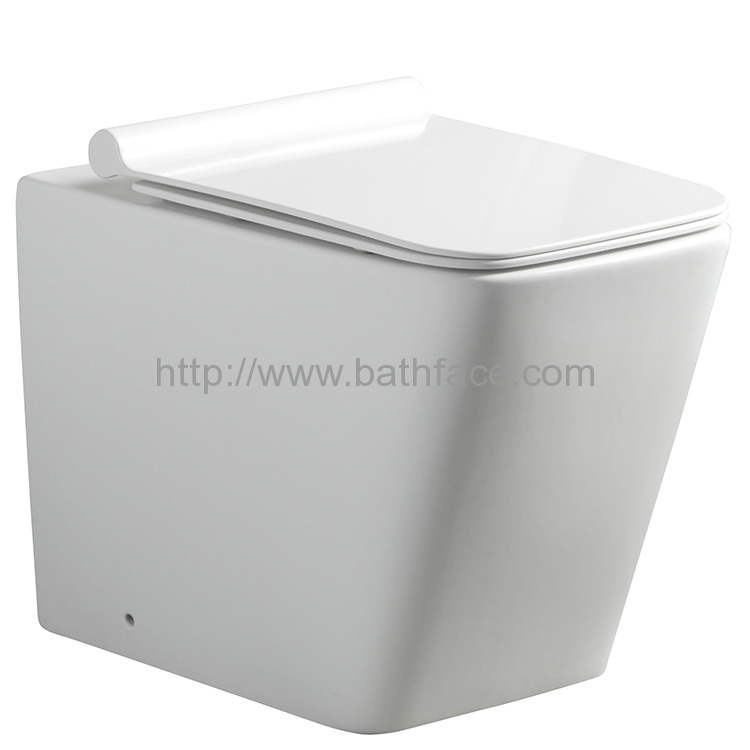 Ceramic Floor Stand Dual Flush Washdown Toilet