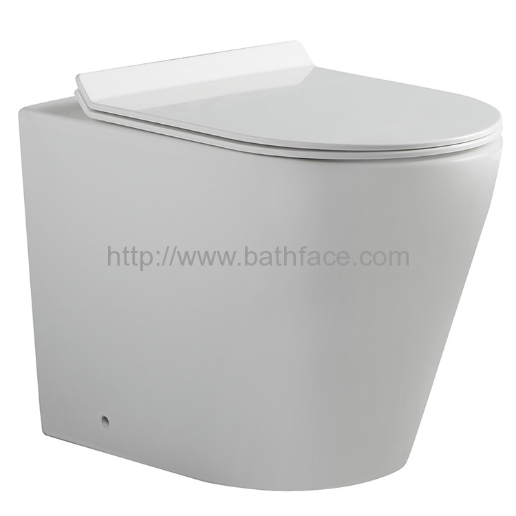 Ceramic Floor Standing Dual Flush Wash Down Toilet