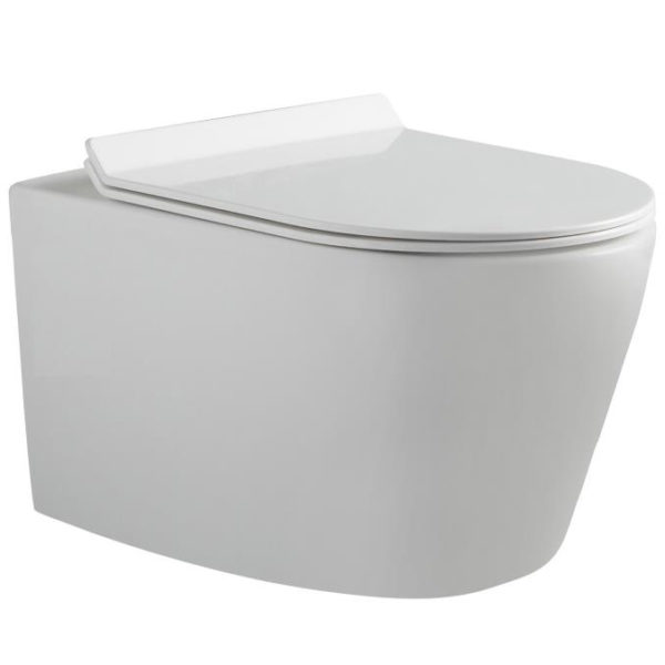 Ceramic Wall Hung Dual Flush Wash Down Toilet