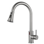 Induction Kitchen Tap