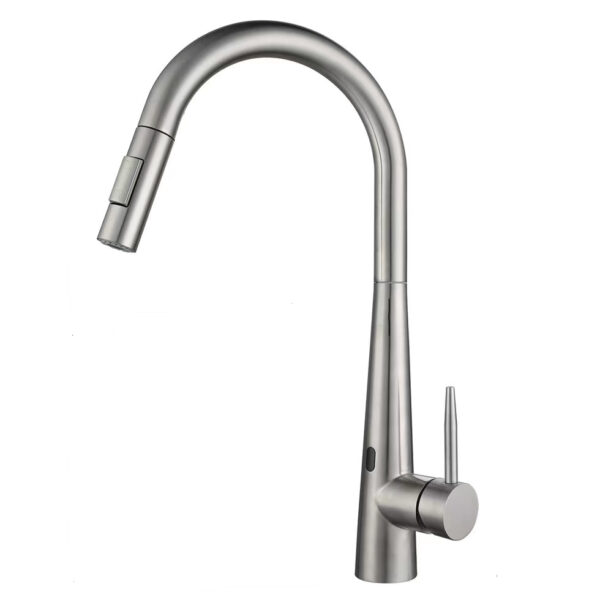 Stainless Steel Smart Kitchen Tap